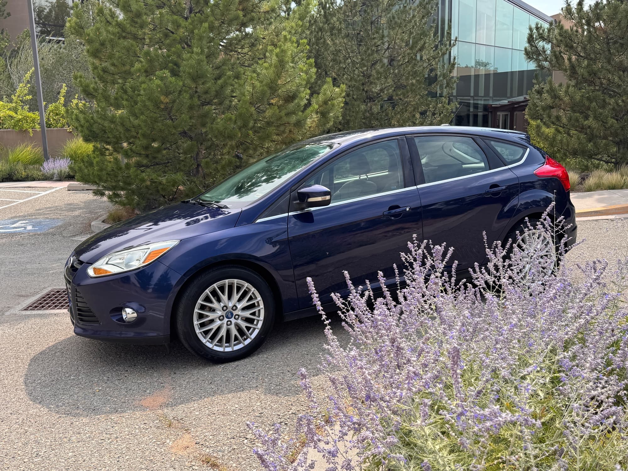 2012 Ford Focus — photo 13