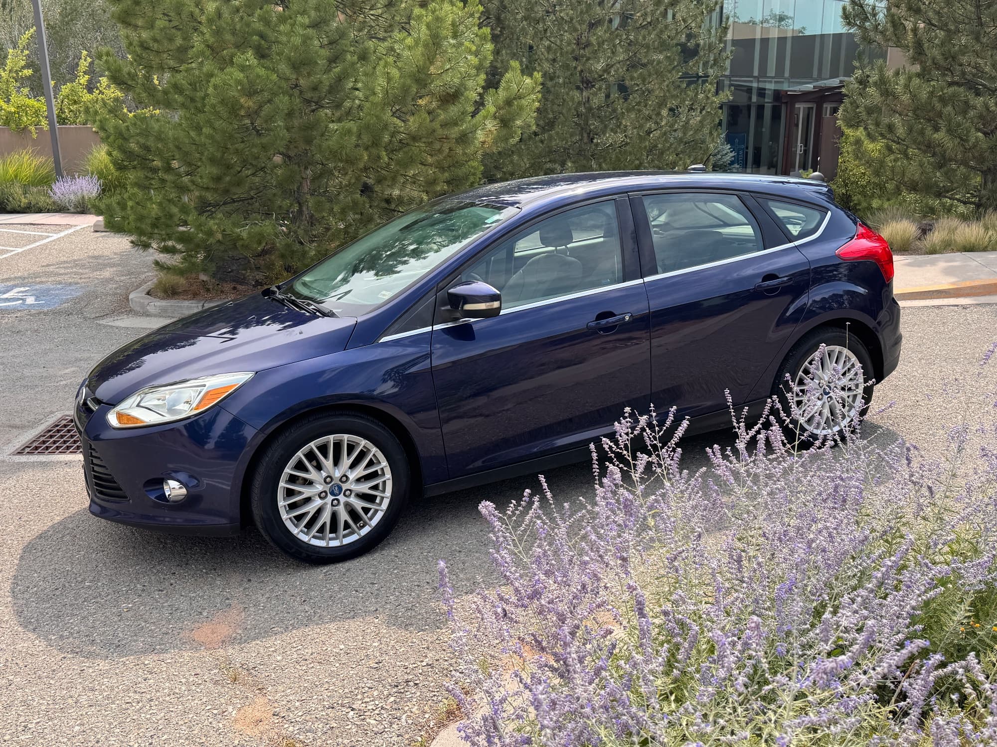 2012 Ford Focus — photo 12