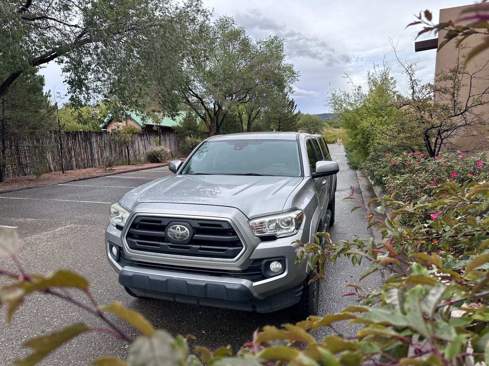 2019 Toyota Tacoma — photo 13